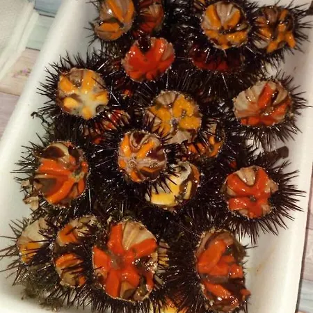 Loriand 度假居 加利波利